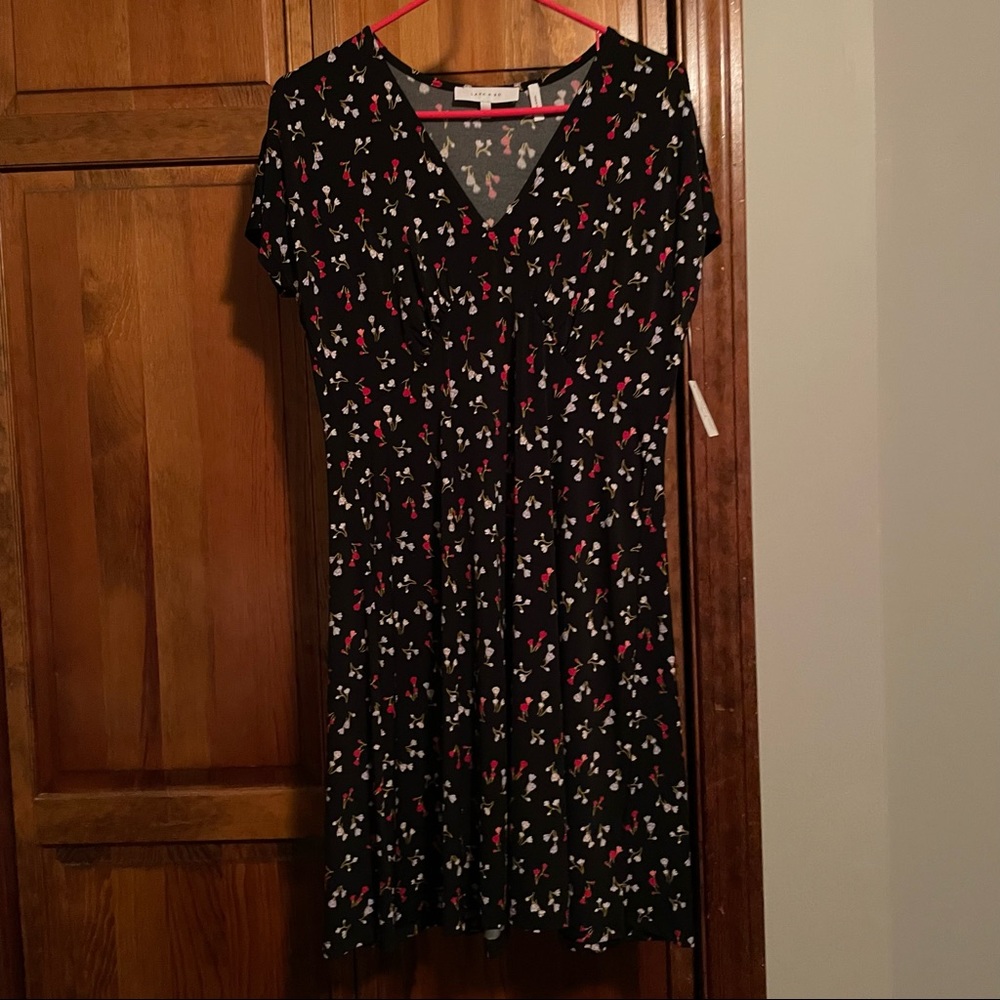 Lark & Ro Women's Cap Sleeve Deep V Neck Fit and Flare Dress